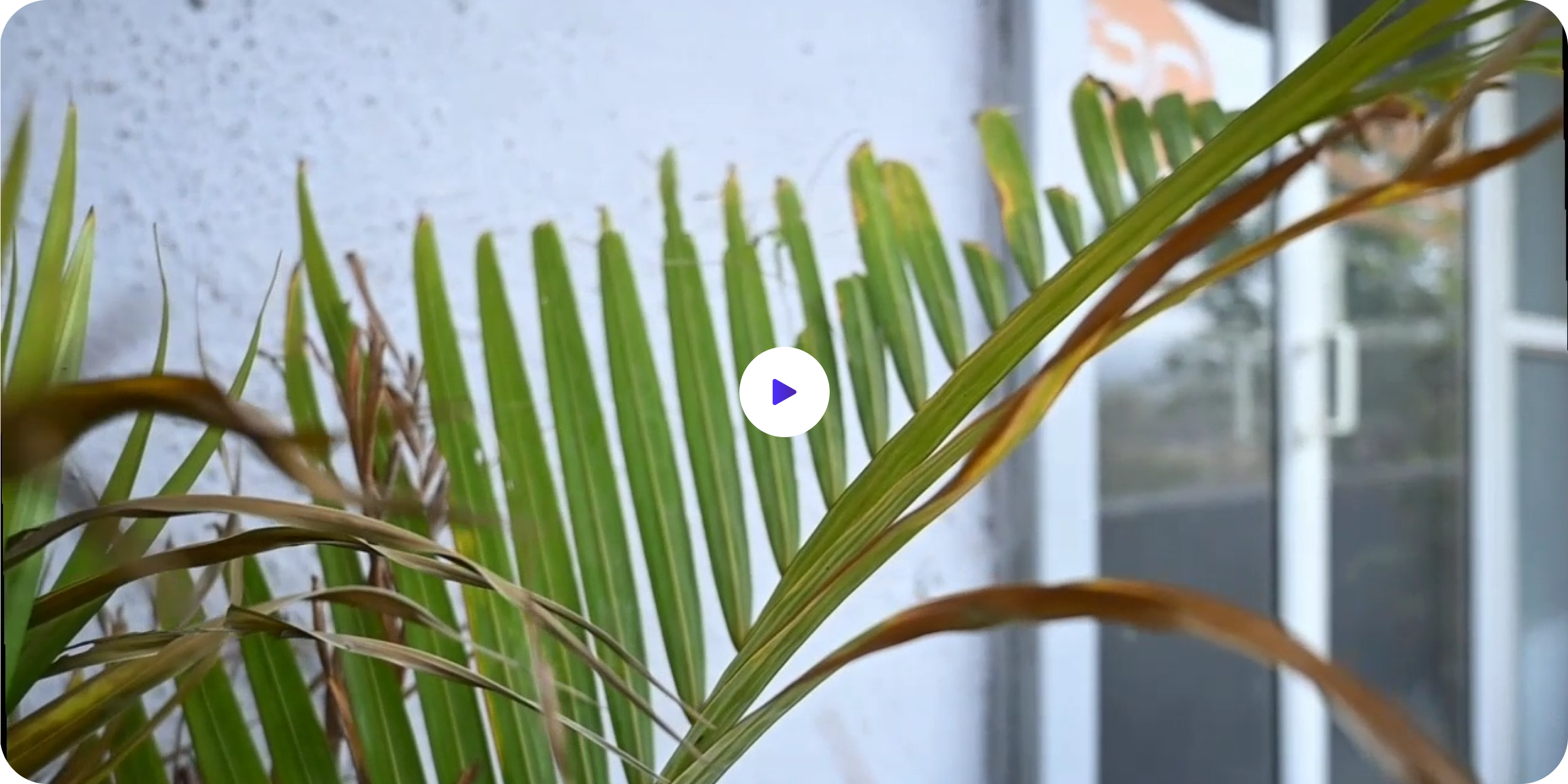 About Video Thumbnail